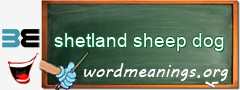 WordMeaning blackboard for shetland sheep dog